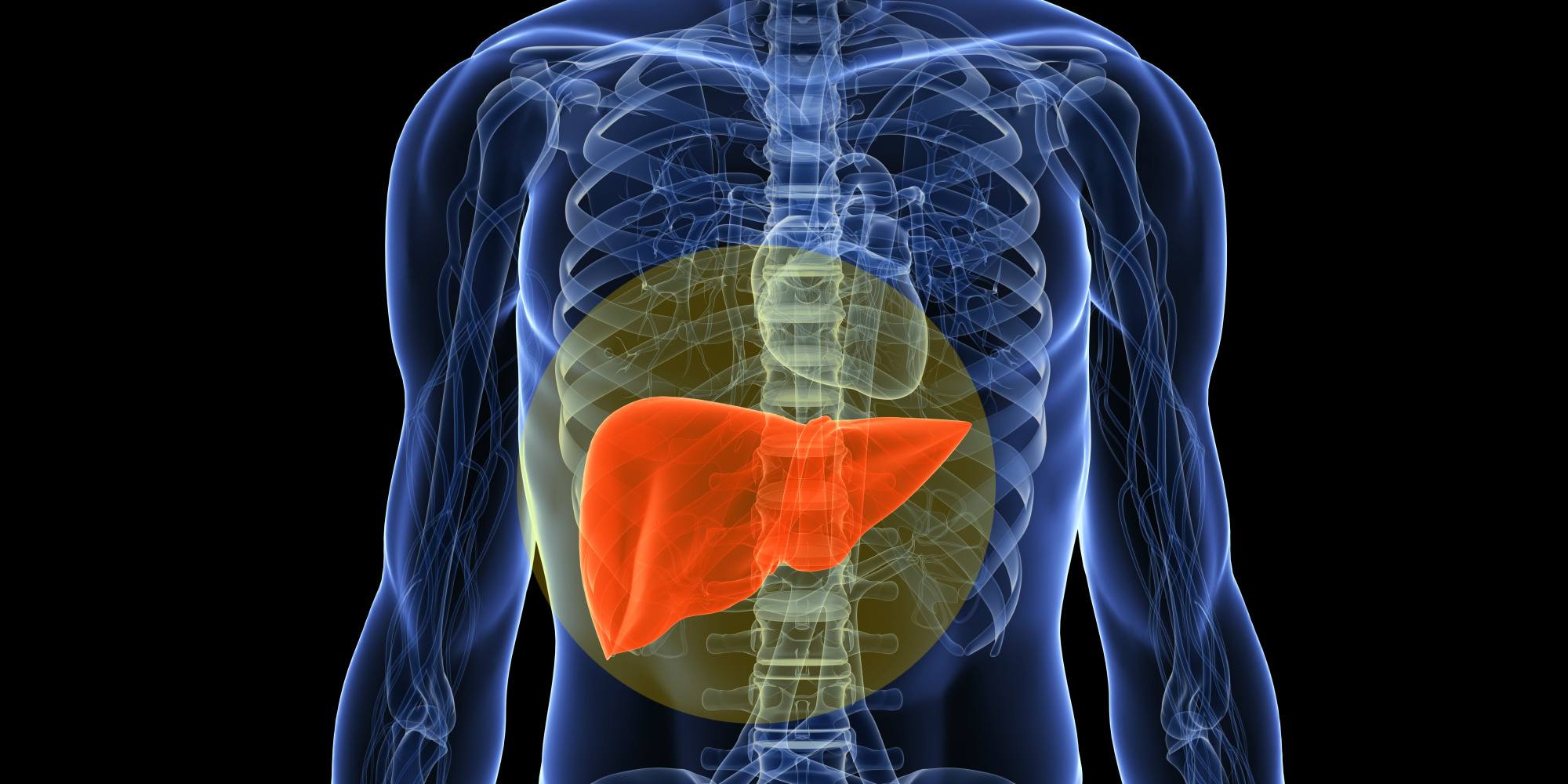 Blood Test Can Replace Liver Biopsy For Detection Of Fatty Liver 