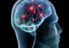 Human Head with Brain