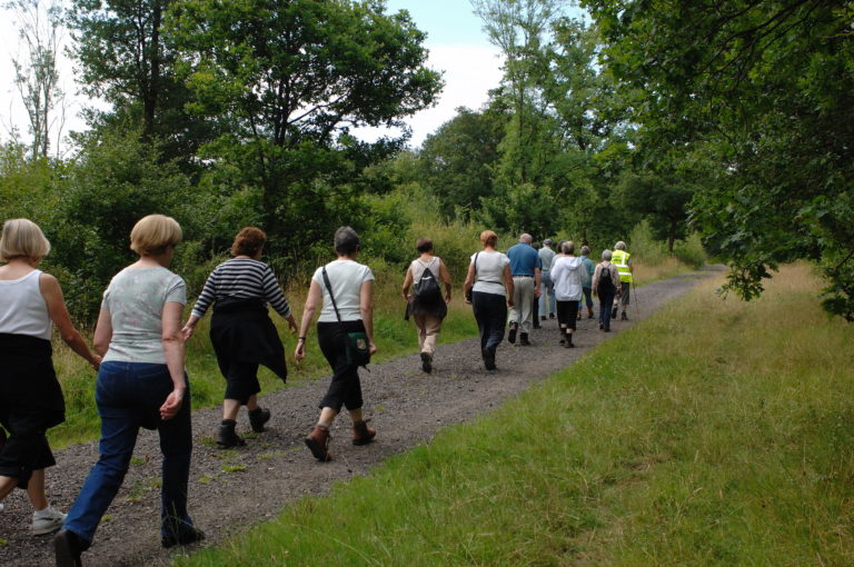 Walking in a group may get you closer to your exercise goals