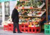 An old man at a fruits stall in Europe