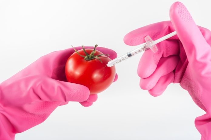 Adulterated food. Genetically modified food
