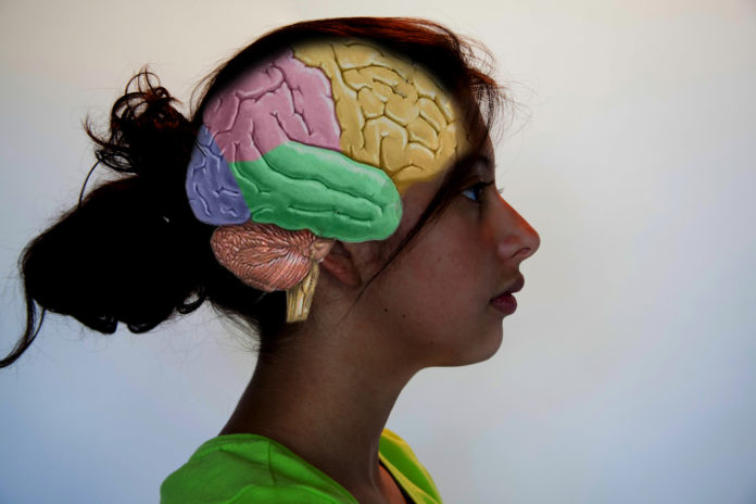 Woman brain epilepsy | Photo: www.amenclinics.com