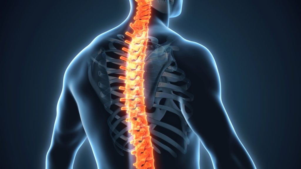 Hydrogel Could Help Repair Damaged Spinal Nerves - Medibulletin