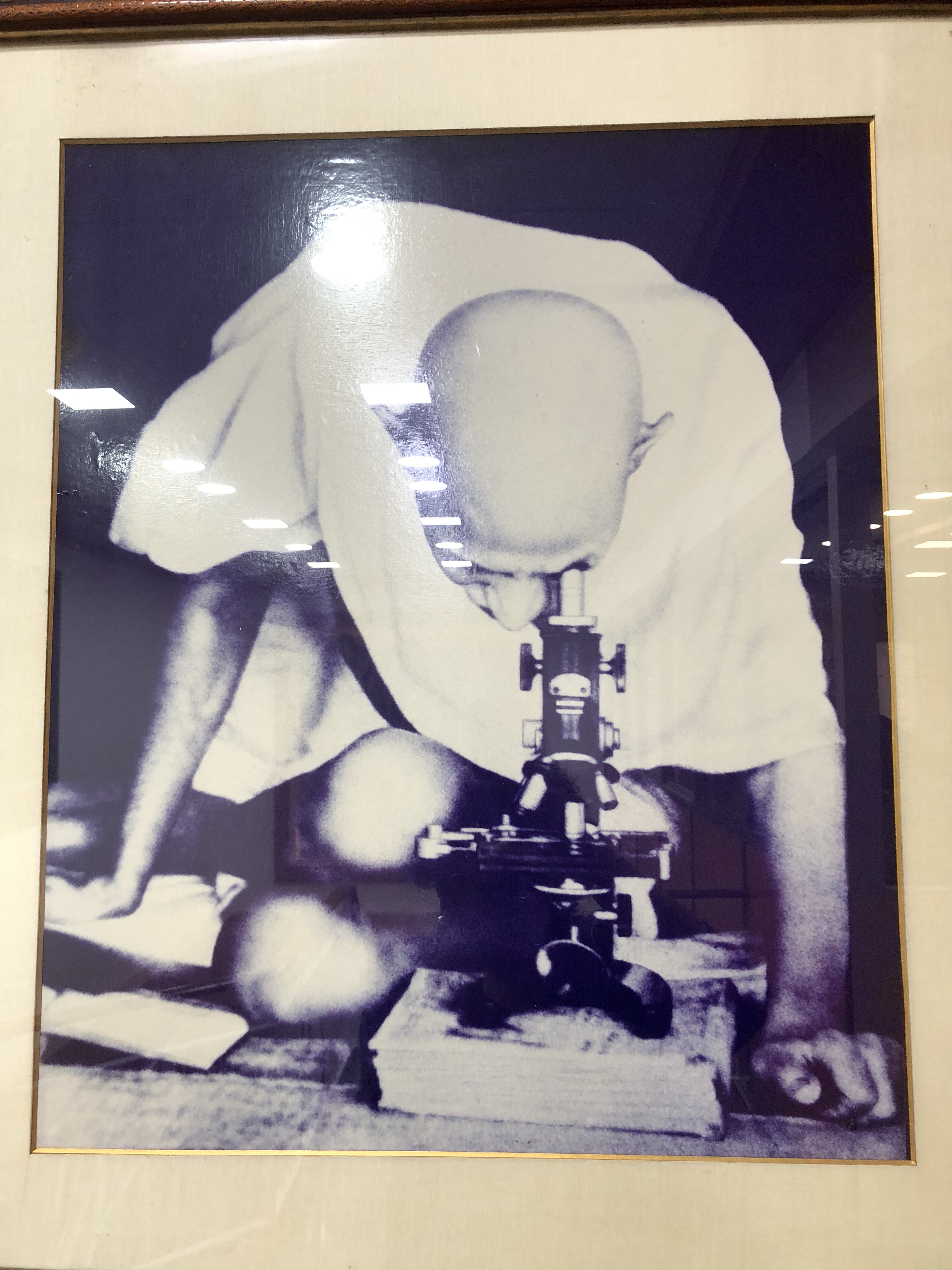 Mahatma Gandhi microscope