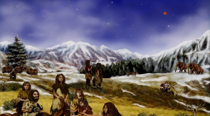 Neanderthals, human genes