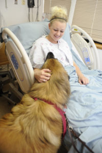 A therapy dog with asthma patient