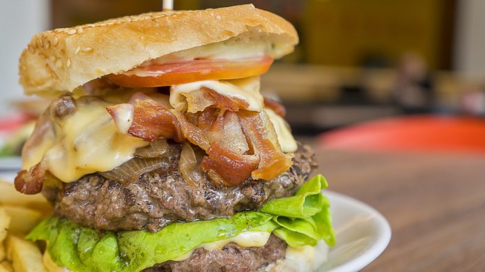 High fat diet, fast food, Burger