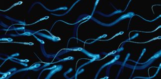 sperm DNA of infertile men