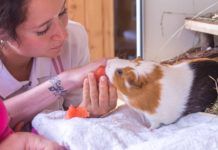 Animals help in therapy