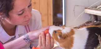 Animals help in therapy