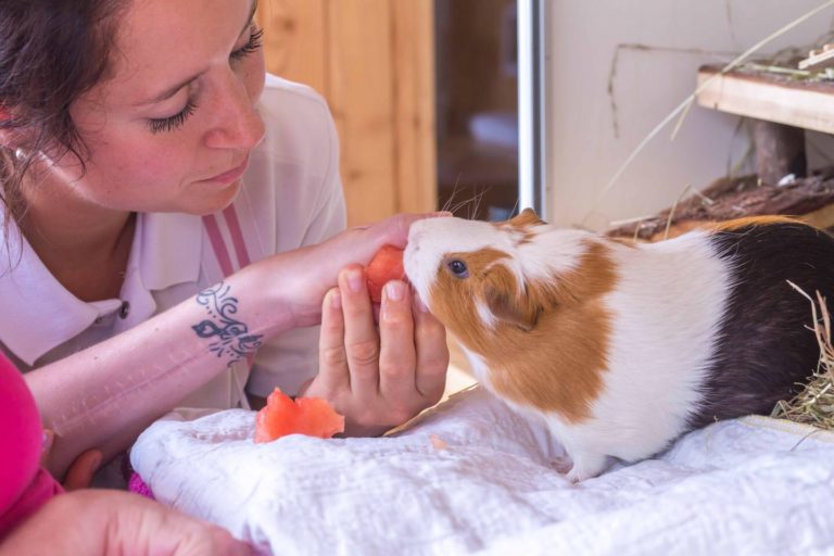 Animals help in therapy