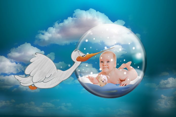 Baby and Stork