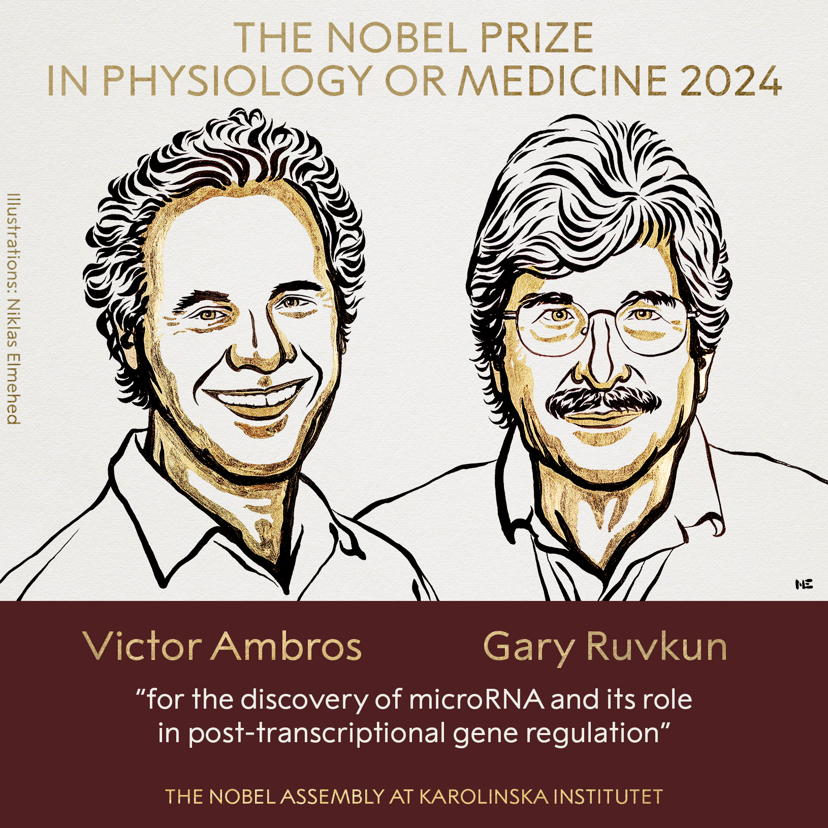 The 2024 Nobel Prize for Physiology goes to the scientists who